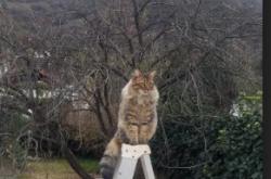 爱游戏大厅-马克西关键战不手软，掘金力克深圳锁定胜局